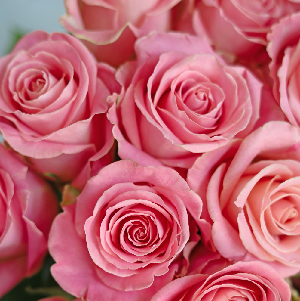 БУКЕТ 21 РОЗ HERMOSA