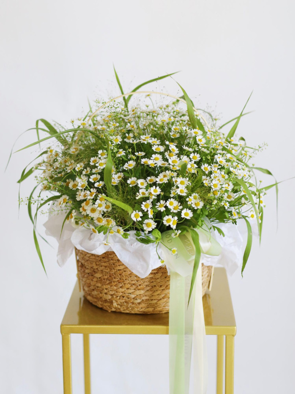КОРЗИНА С РОМАШКОЙ И ЗЛАКАМИ КОРЗИНА С РОМАШКОЙ И ЗЛАКАМИ