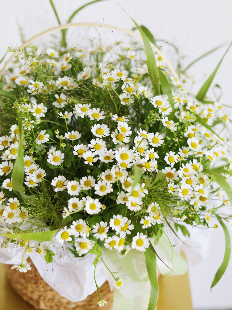 КОРЗИНА С РОМАШКОЙ И ЗЛАКАМИ